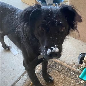 Meet your Posher, Jesse